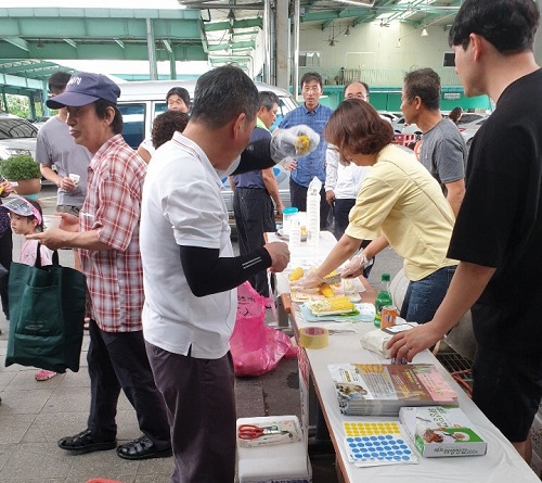 신품종 황금맛찰옥수수 홍보·판매행사 성황 이미지2