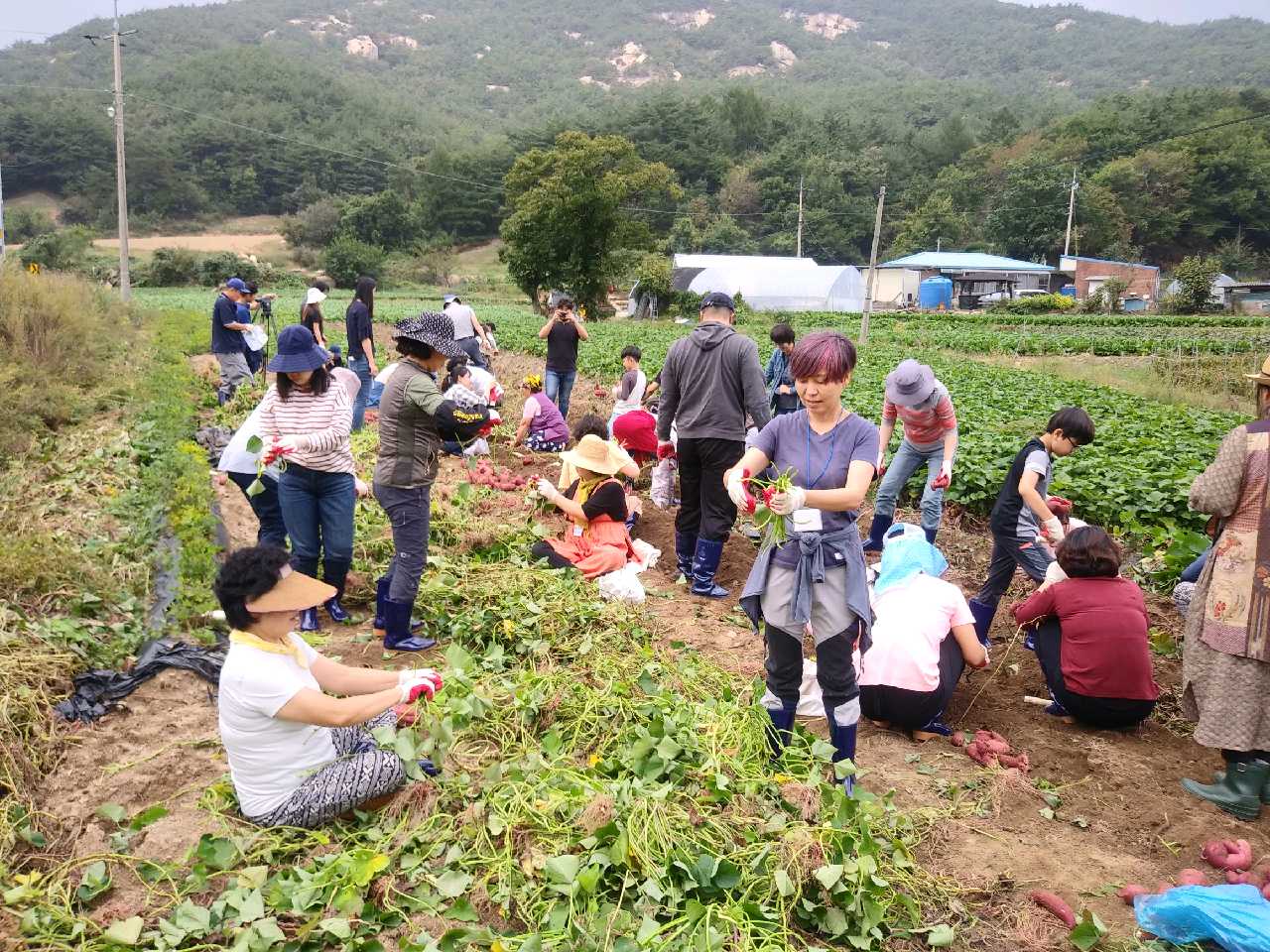 괴산서 서울농장 시범운영 프로그램 운영 ‘호응’ 이미지1