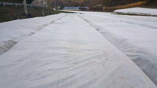 괴산군, 농작물 월동준비 철저 당부 이미지1