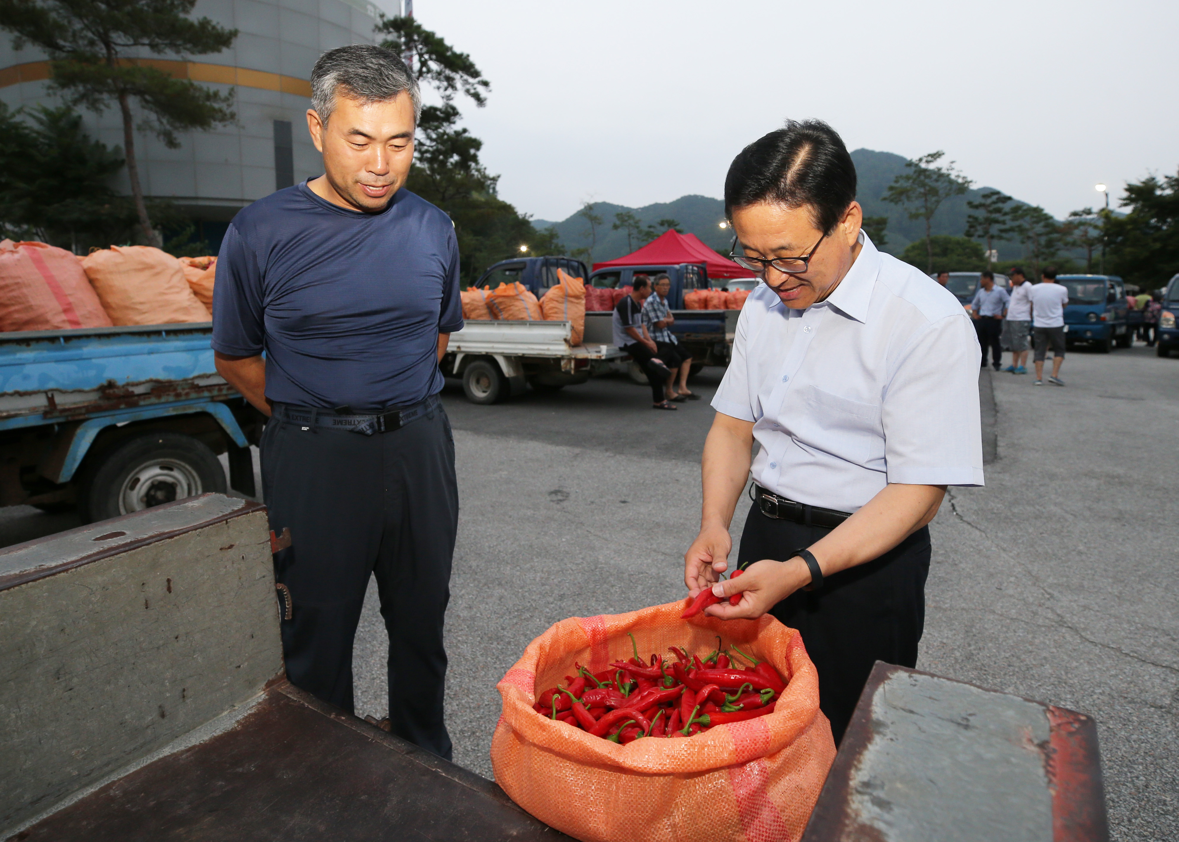 홍고추시장 개장 사진 이미지3