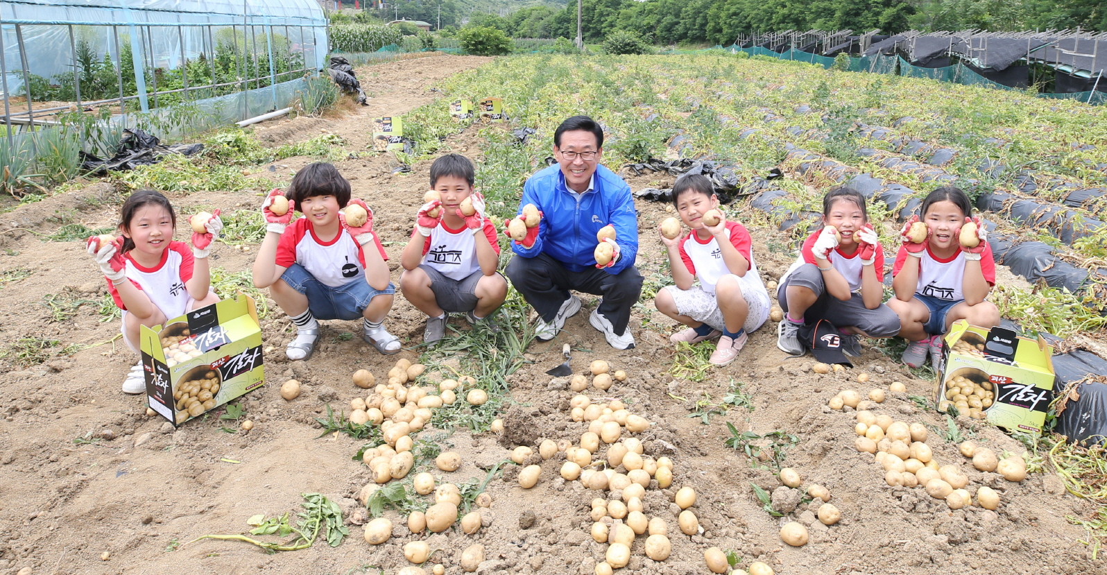 괴산 감물감자축제 현장 이미지3