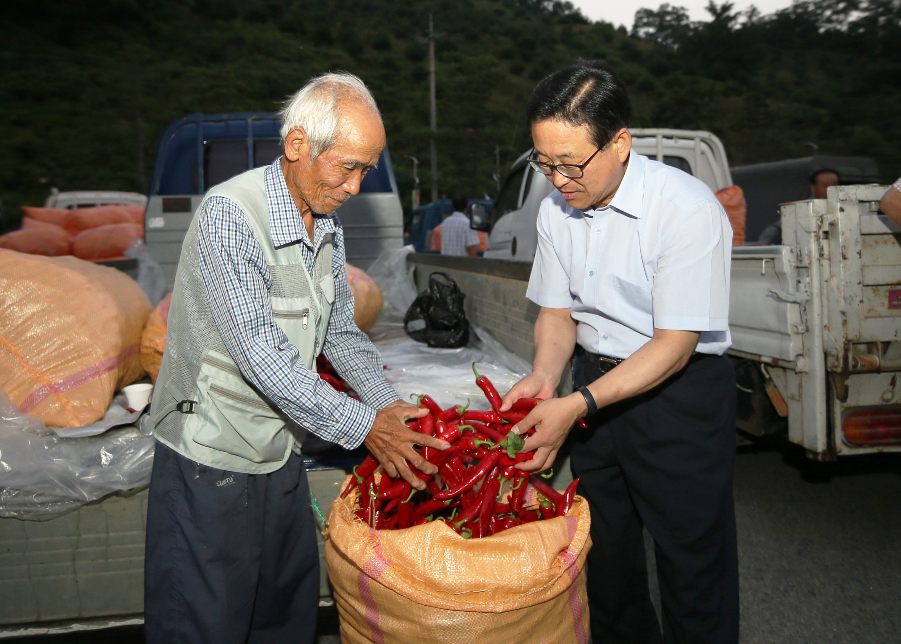 홍고추시장 개장 사진 이미지2
