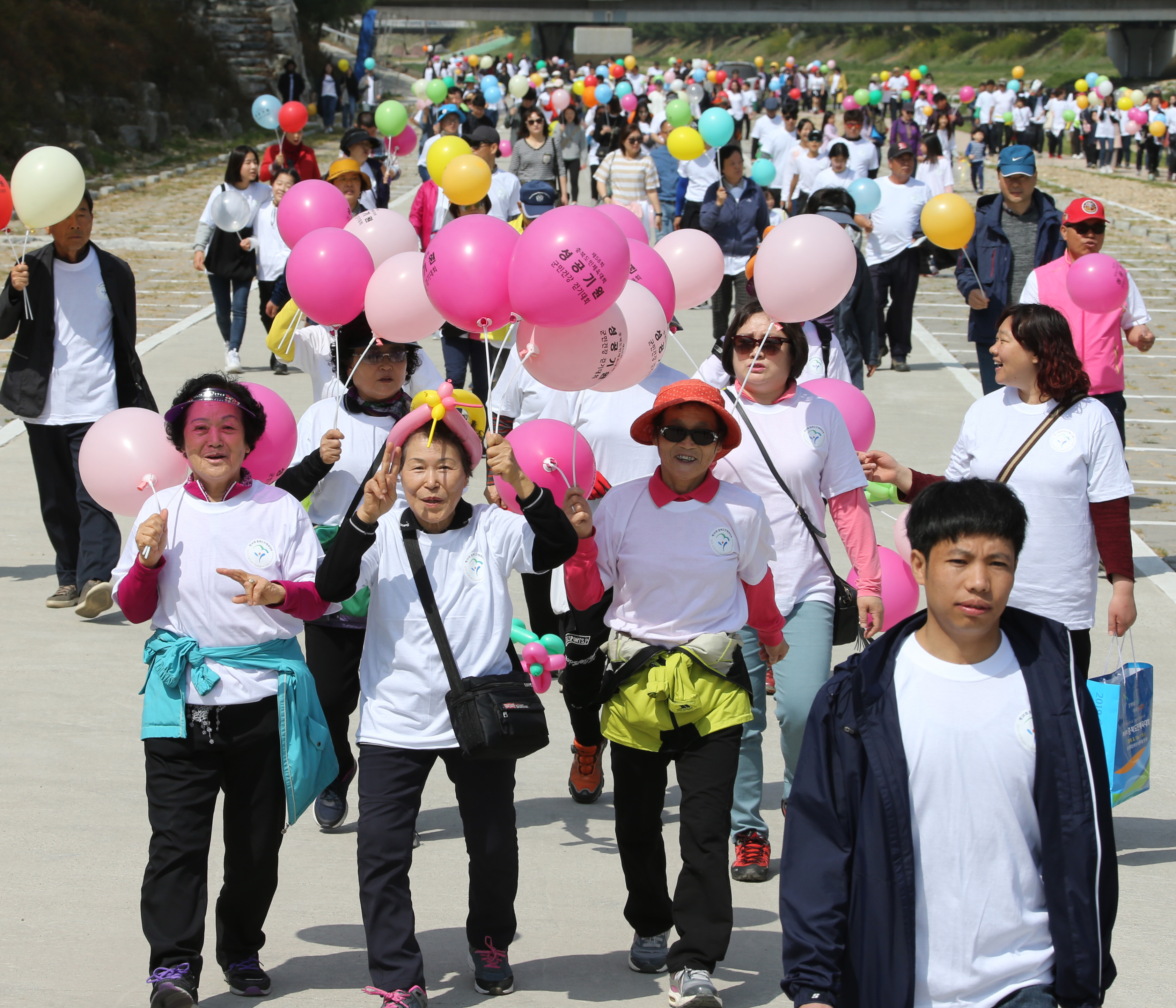 제58회 도민체전 성공기원 군민건강 걷기 대회 사진 이미지9