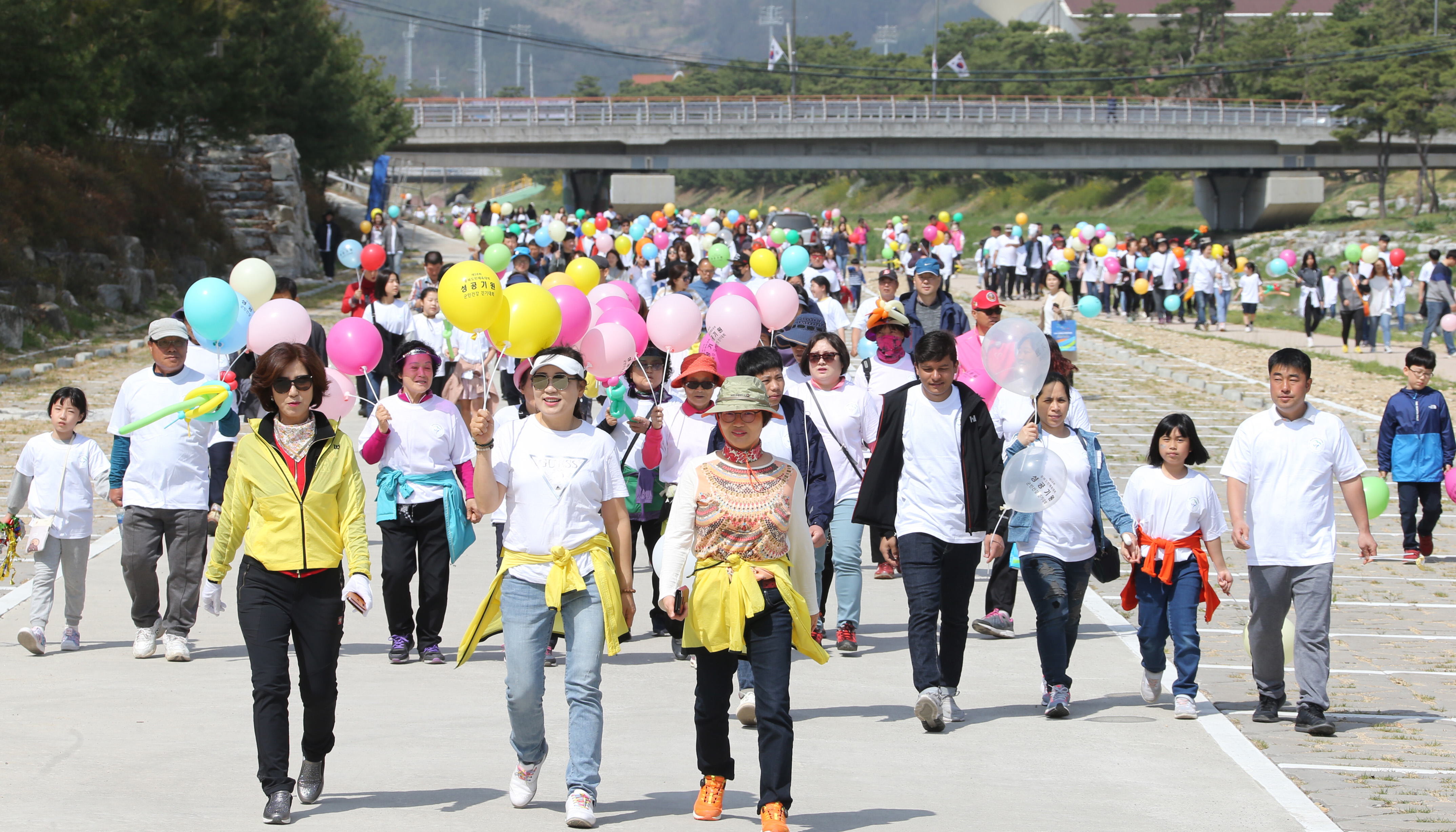 제58회 도민체전 성공기원 군민건강 걷기 대회 사진 이미지8