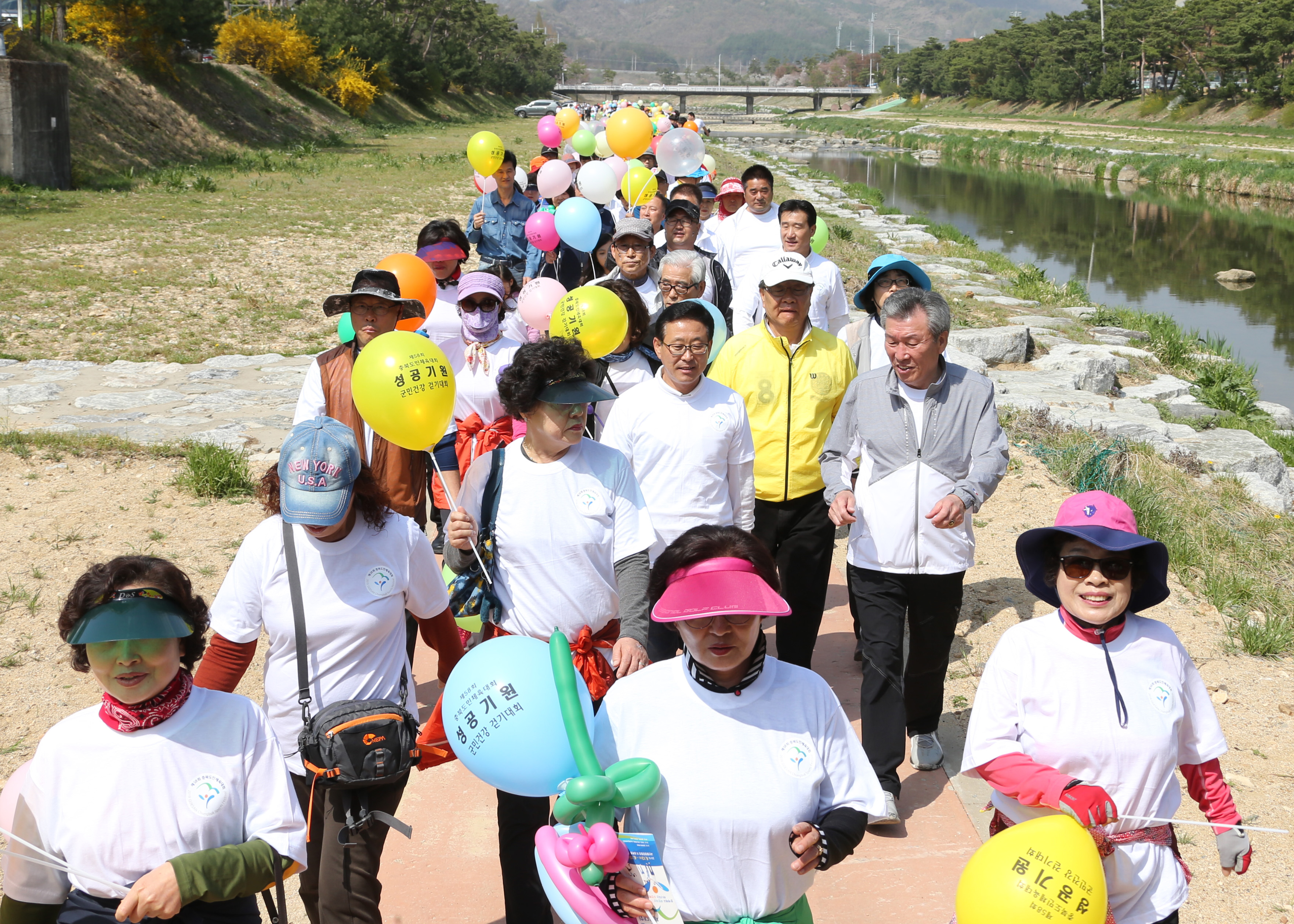제58회 도민체전 성공기원 군민건강 걷기 대회 사진 이미지6
