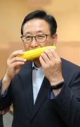 황금맛찰옥수수 시식회 사진