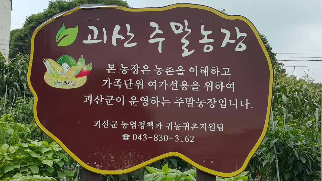 주말농장 일기 이미지1