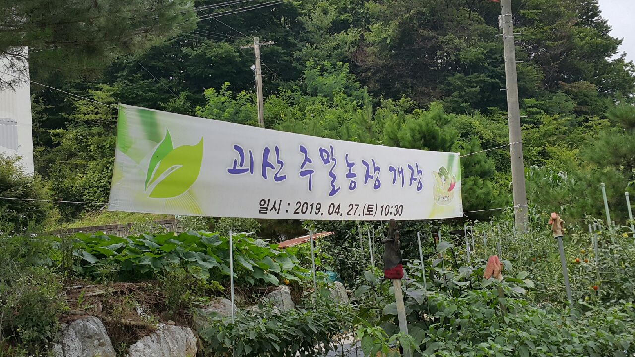 주말농장 일기 이미지3