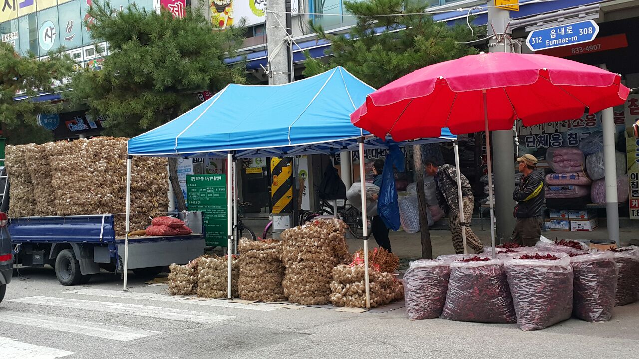 괴산장날 놀러오세요~~~ 이미지2