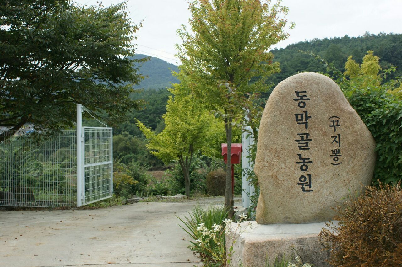 꾸지뽕 동막골 농원 이미지1