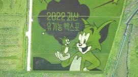 괴산군 '유색벼 논그림' 장관 이미지