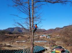 산림사업 안전 및 산림일자리 창출 우수사례 이미지
