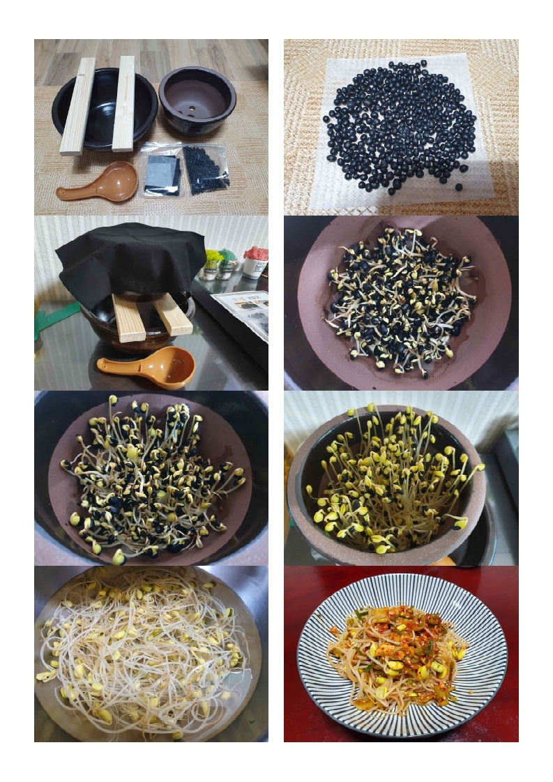 콩나물키우기