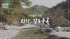 [놀러올래?괴산으로!] 6탄 갈은구곡편