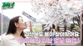 [괴산은 처음이쥬?2] EP.2 괴산에도 봄이 찾아왔어요 아이다의 괴산 벚꽃 여행!