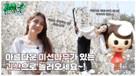 [괴산은 처음이쥬?2] EP.1 아름다운 미선나무가 있는 괴산으로 놀러오세요~!