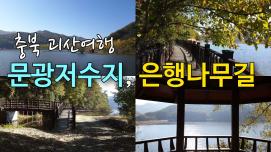 [SNS 서포터즈] 충북 괴산여행 문광저수지, 은행나무길