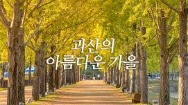 [SNS 서포터즈] 괴산의 아름다운 가을