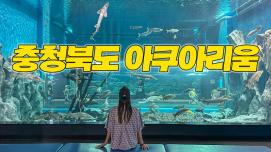 [SNS서포터즈]충청북도 아쿠아리움