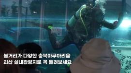 [SNS 서포터즈] 충북아쿠아리움 여름에 떠나기 좋은 괴산 실내 관광지