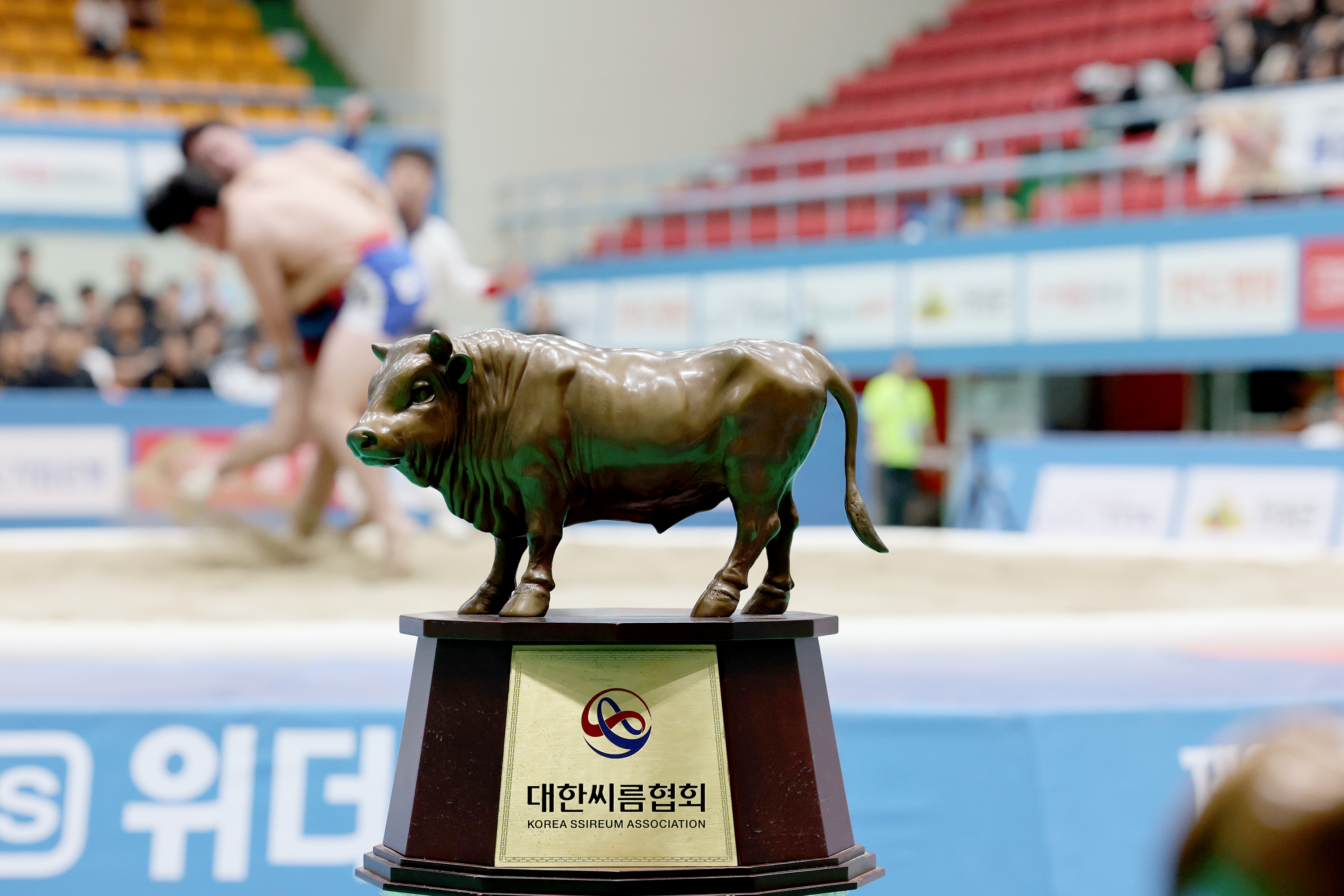 제3회 괴산유기농배 전국 장사씨름대회(2026.06.22) 이미지8