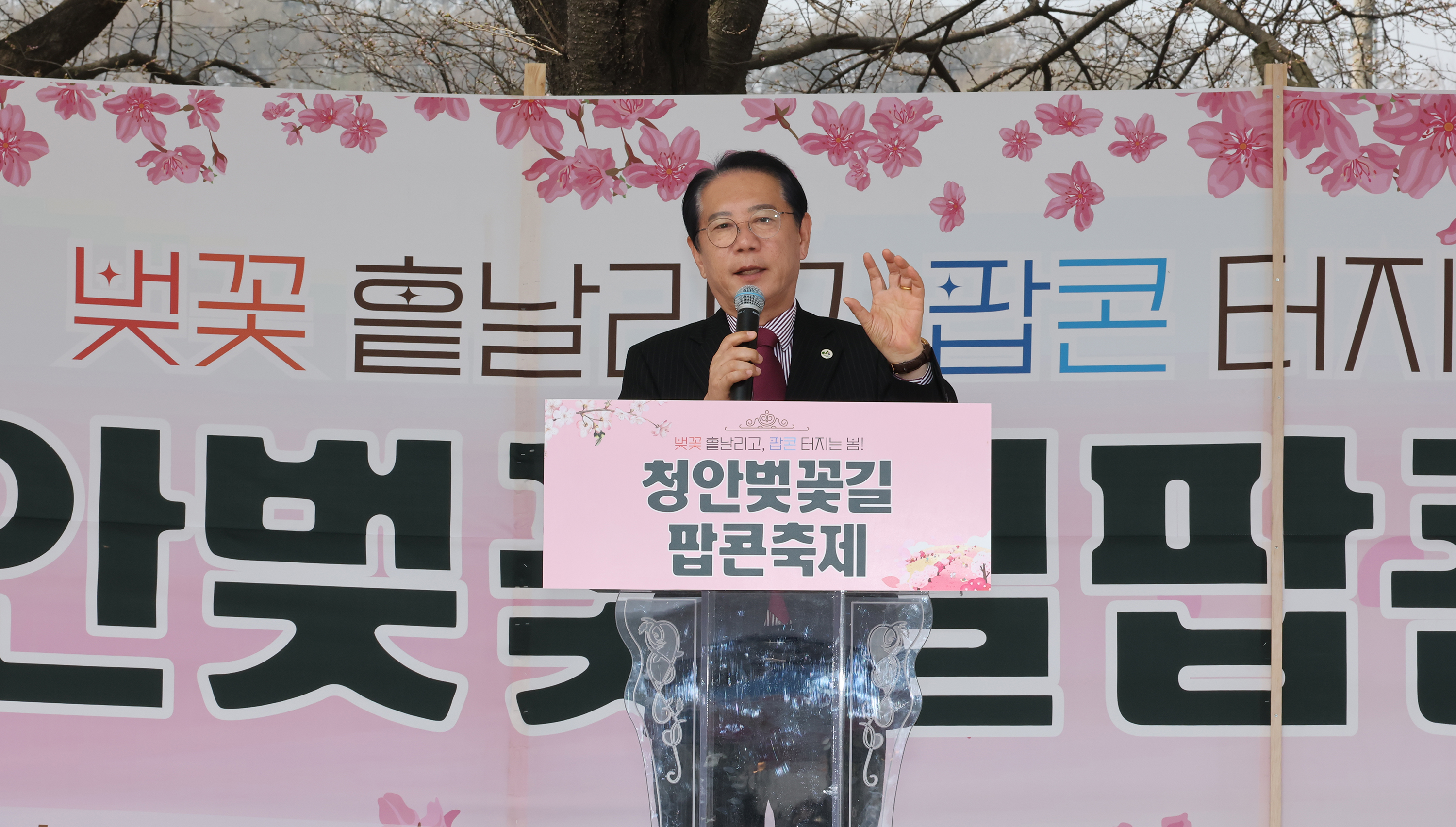 괴산군 청안벚꽃길 팝콘 축제 (2026.04.03) 이미지2