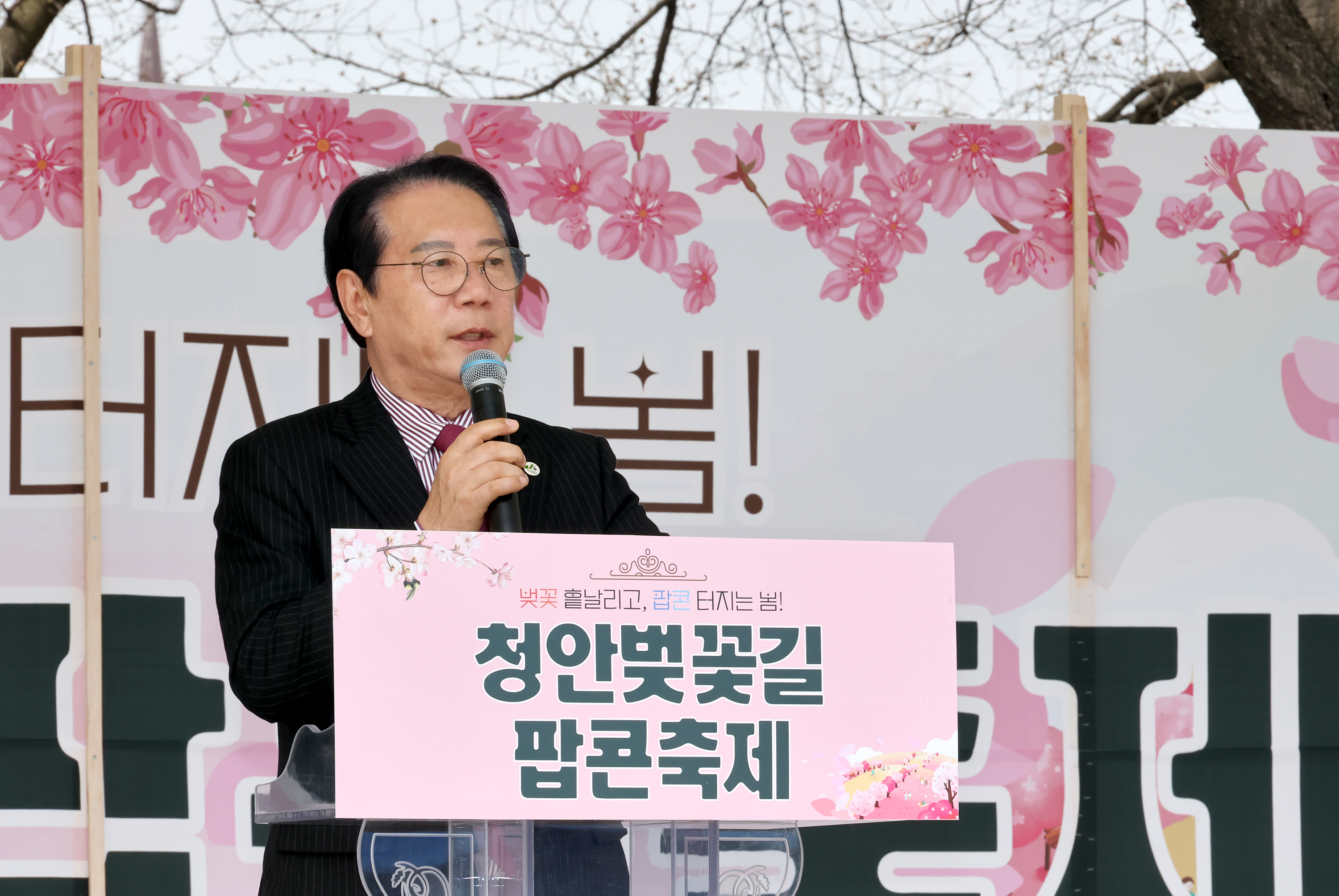 괴산군 청안벚꽃길 팝콘 축제 (2026.04.03) 이미지1