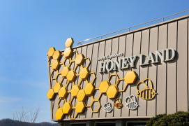 꿀벌랜드 스케치