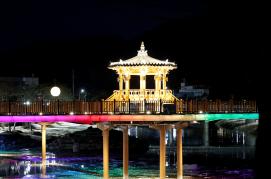 에코브릿지 달 조형물 야경