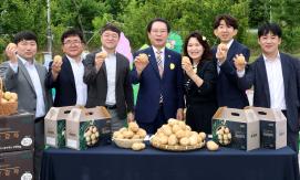 제14회 감물면 감자축제(6.13.)