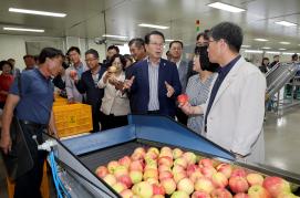 군자농협 사과 선별장 및 경제사업장 준공식 (8.26)