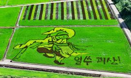 문광 논그림 스케치(7.22.)