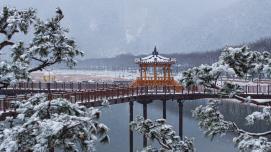 설경 스케치(에코브릿지, 성불산자연휴양림, 문광저수지)