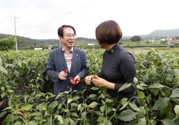 고추 비교 전시포 현장 평가회(8.17.)