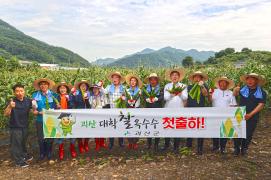 대학찰옥수수 첫 출하행사(7.7.)