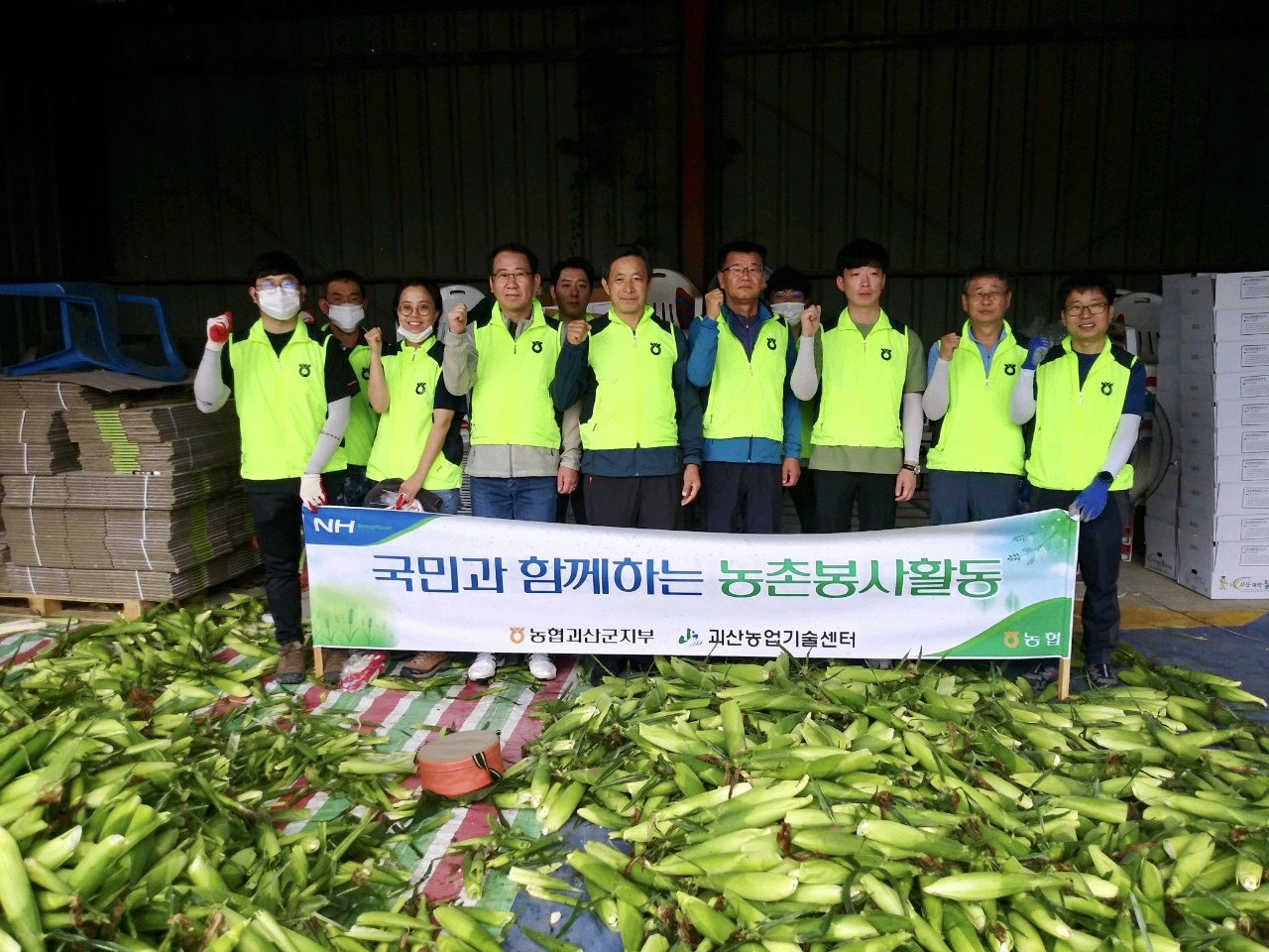 괴산군 농업기술센터와 농협중앙회 괴산군지부, 생산적 일손봉사 이미지4