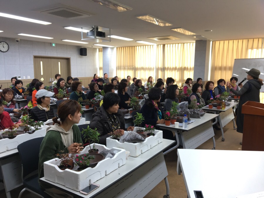 생활원예 프로그램 과제교육 이미지1