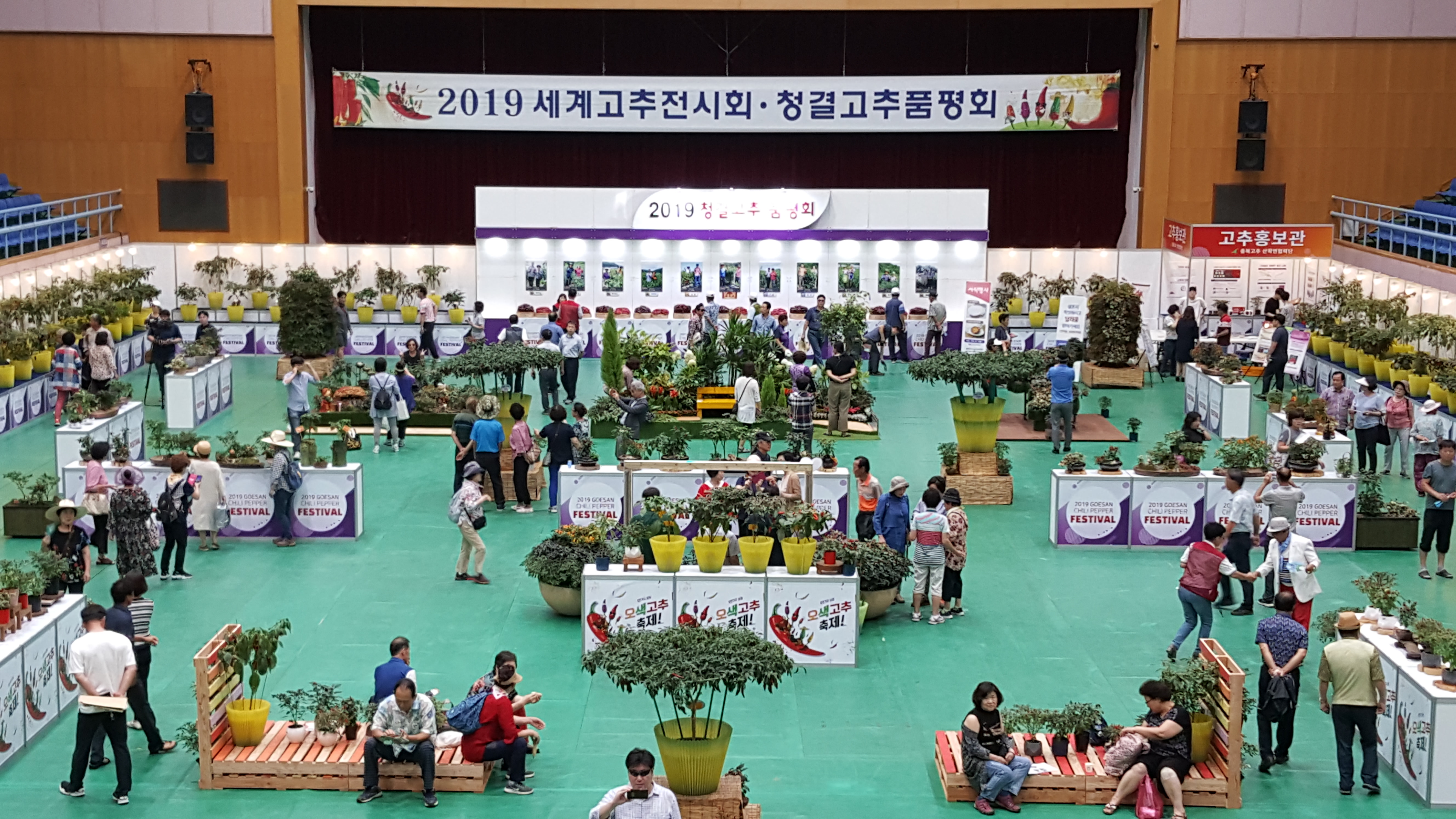 2019 괴산고추축제 세계고추전시회 및 청결고추품평회 이미지1