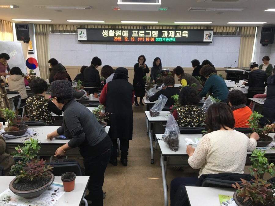 생활원예 프로그램 과제교육 이미지2