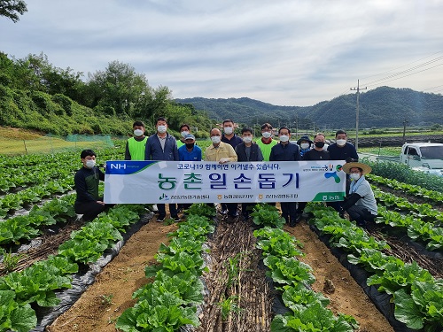 농촌일손돕기 이미지1