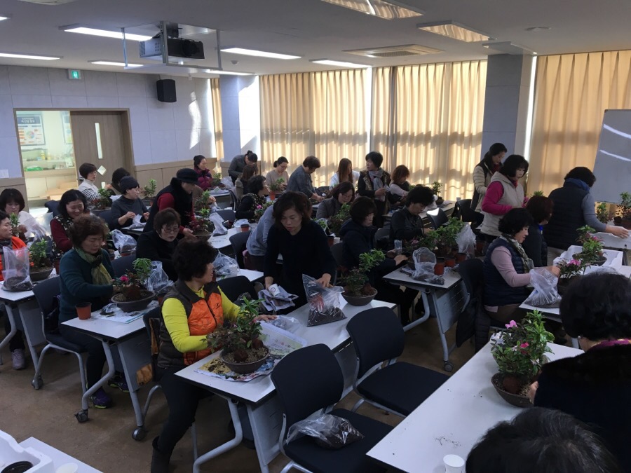 생활원예 프로그램 과제교육 이미지3