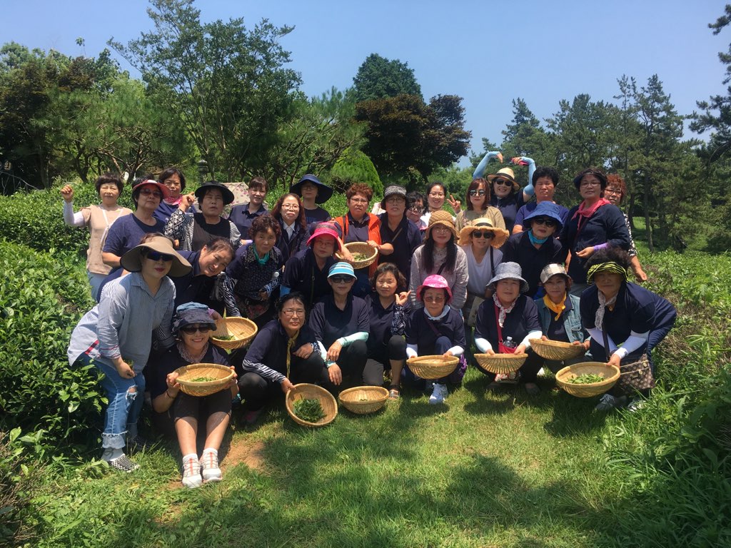 한국생활개선괴산군연합회 보성 현지교육 이미지1