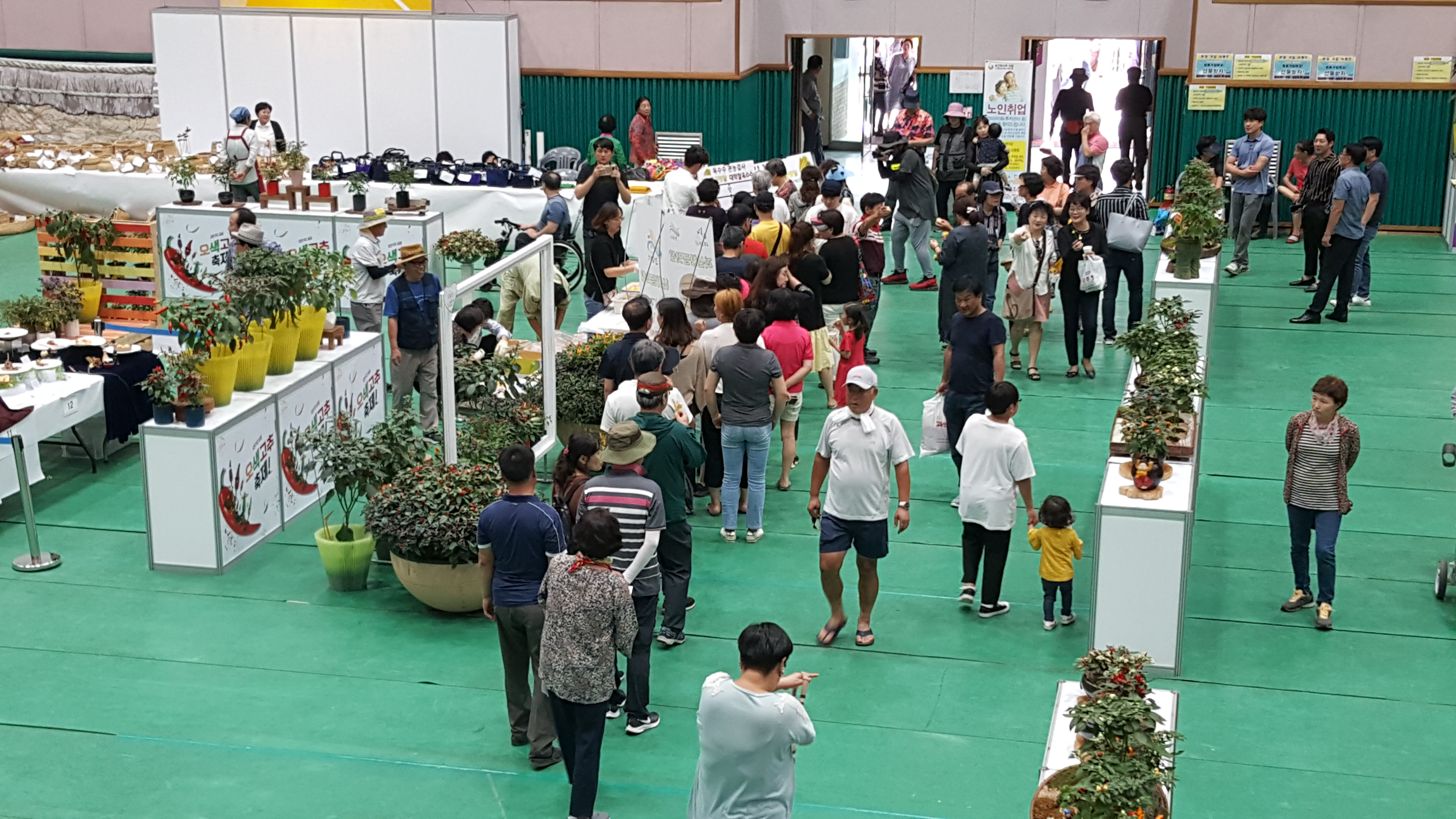 2019 괴산고추축제 세계고추전시회 및 청결고추품평회 이미지3