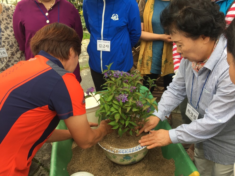 야생화연구회 교육 이미지4