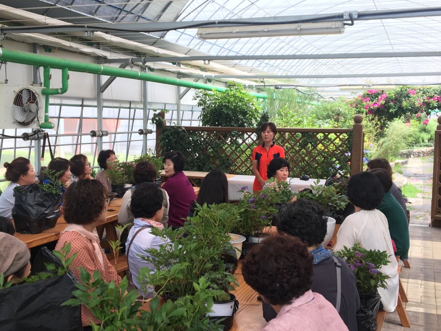 야생화연구회 교육 이미지5