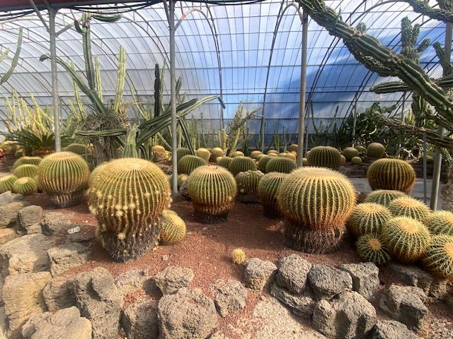 불정면 농촌지도자회 선진지견학 이미지2