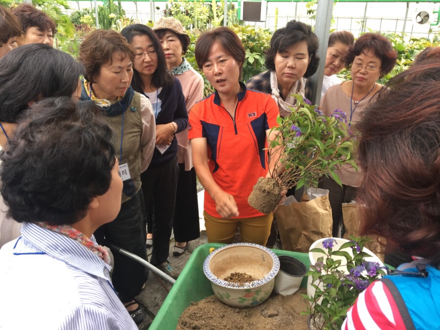 야생화연구회 교육 이미지3