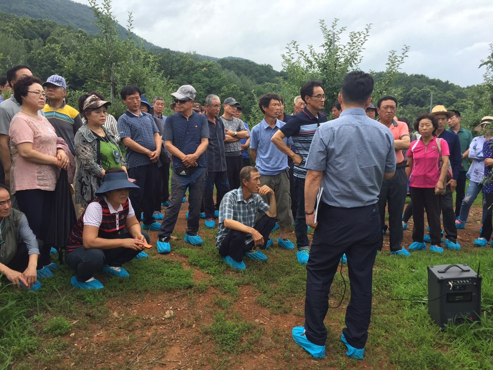 해외전문가초빙 사과 선진농업기술교육 이미지2