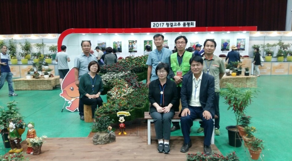 고추축제 이미지2