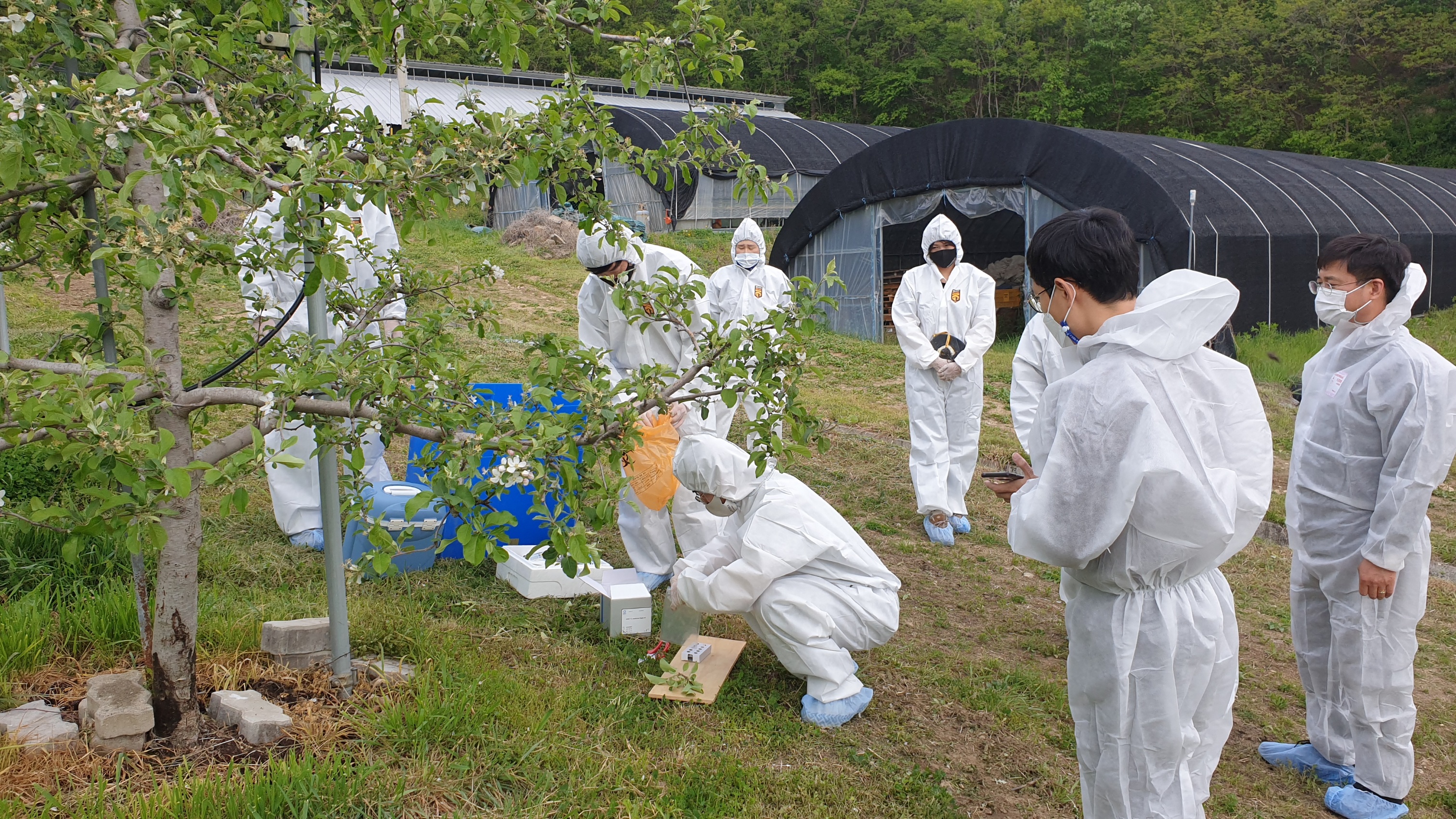 괴산군, 과수화상병 방제 가상훈련 실시 이미지2
